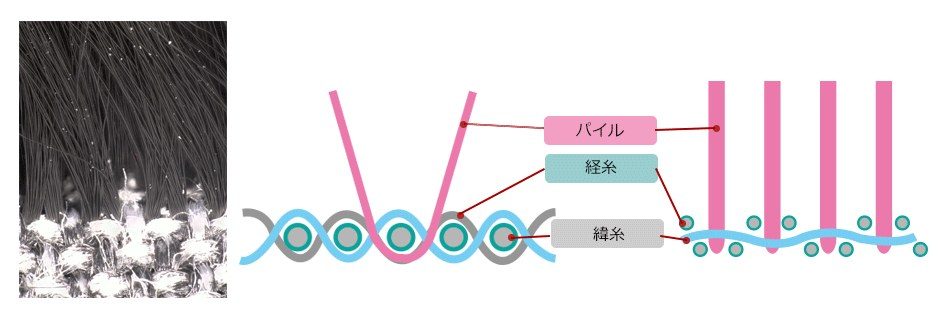 パイル織物の構造の図