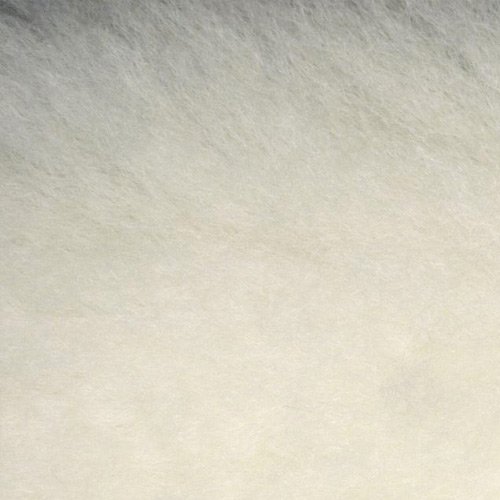 NG1203