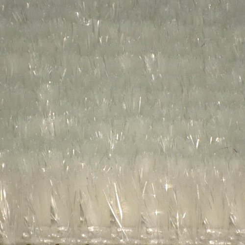 TF004